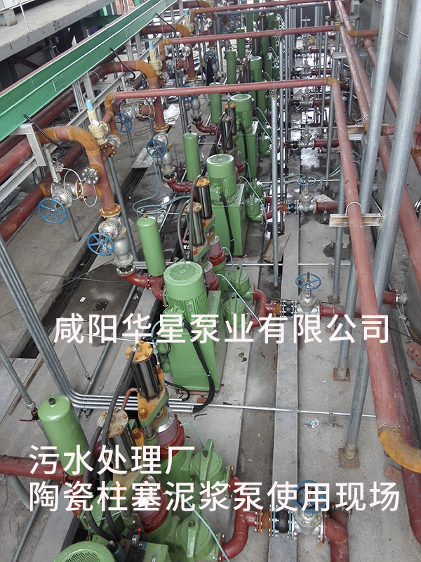 污水處理廠使用壓濾機(jī)專(zhuān)用泵